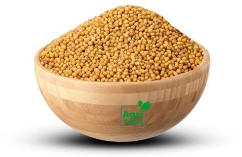 Mustard Seeds