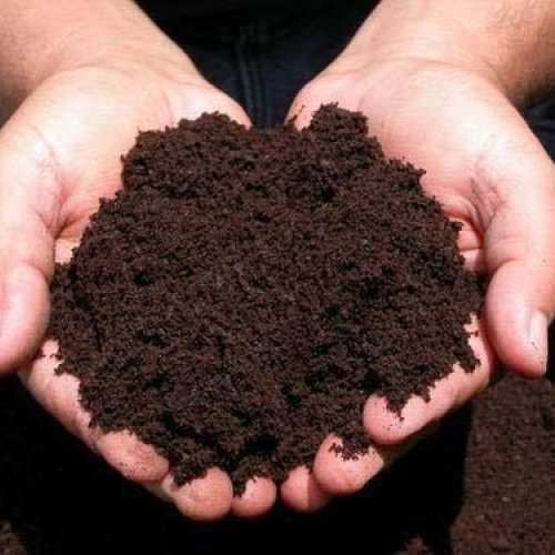 Bio Vermicompost