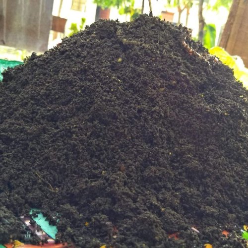 Vermicompost Fertilizer