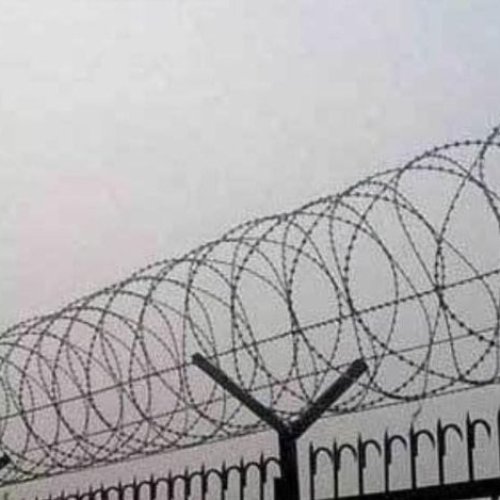 Barbed Wire Fencing