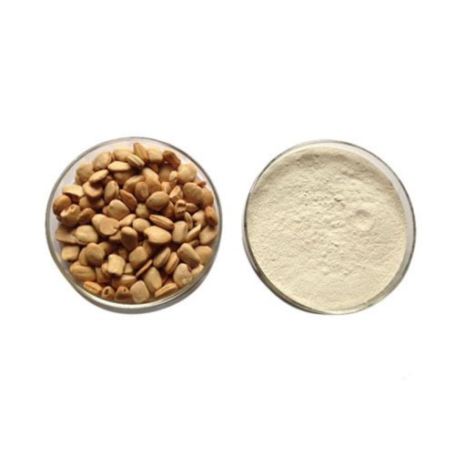 Tamarind Seed Powder