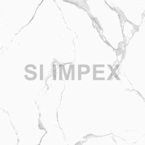 Rigal Satvario Glossy Finish Vitrified Tile