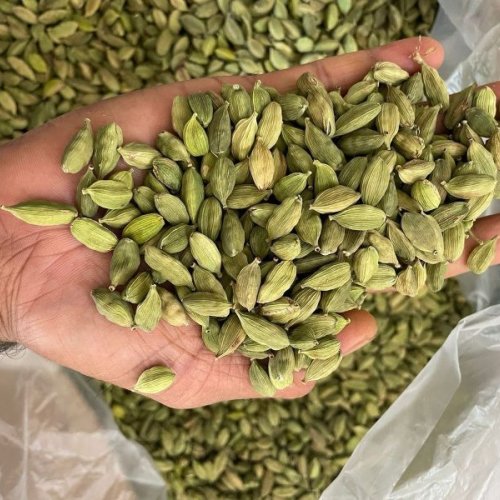 green cardamom