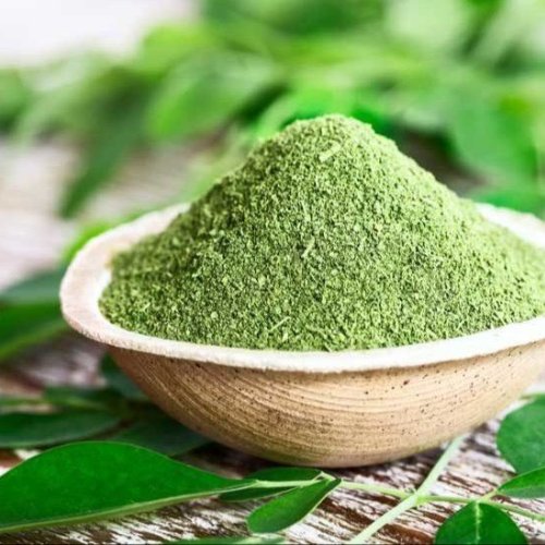 moringa leaves powder