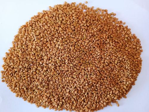 Natural Fenugreek Seeds