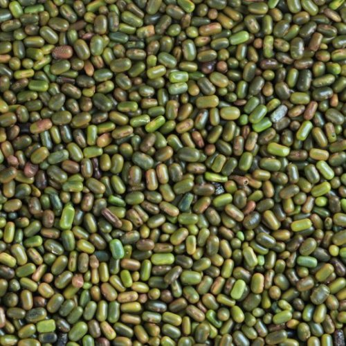 Sesbenia Seeds