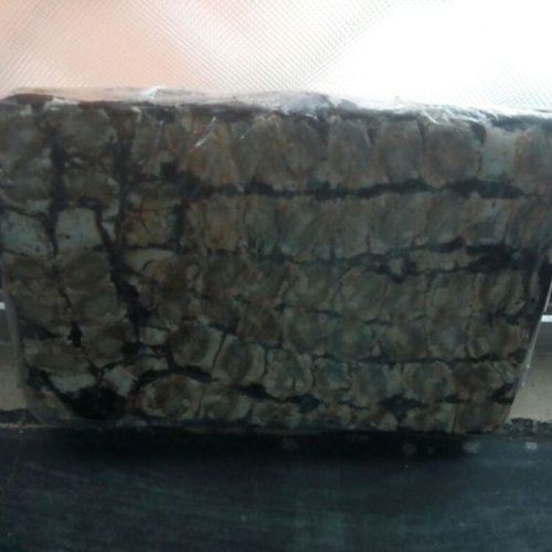 1kg Tamarind Block