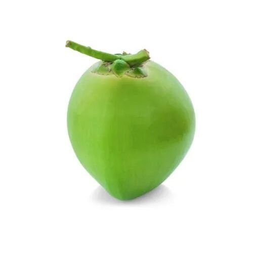 Green Tender Coconut