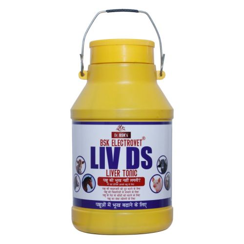 DR. Bsk Electrovet Liv DS Liver Tonic