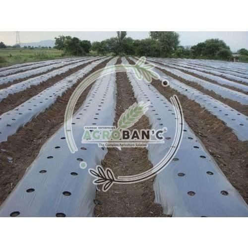 Mulching Paper