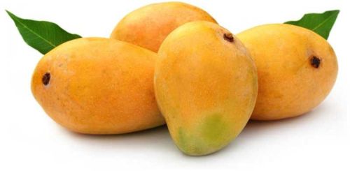 Banganapalli Mango