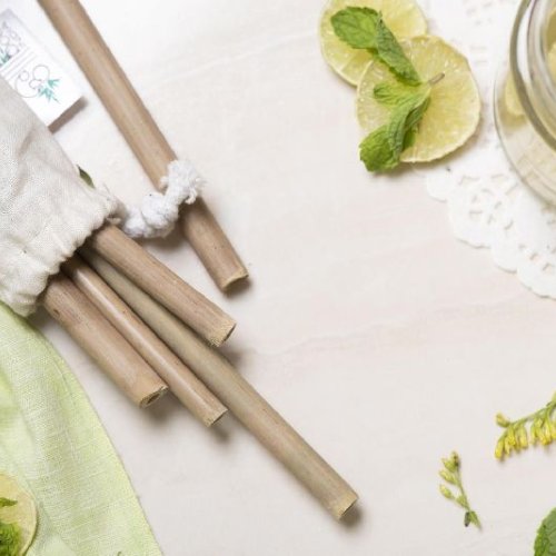 Bamboo Straw with Cleaner