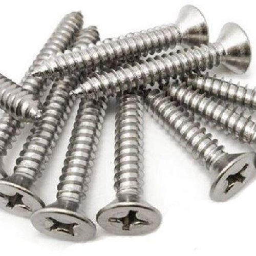 Stainless Steel Screws