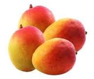 fresh mango