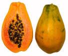 Fresh Papaya