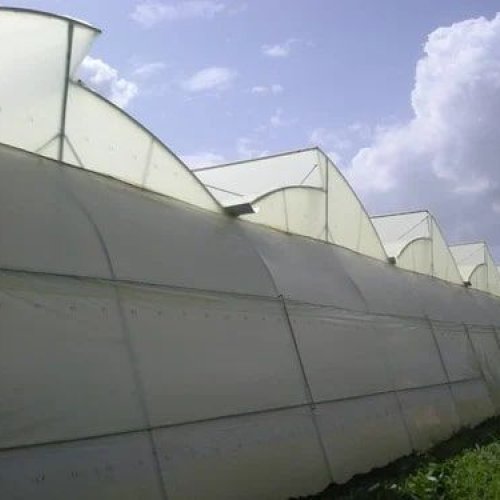 Polyhouse Consultancy