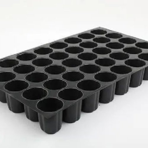 40 Cavity Seedling Tray