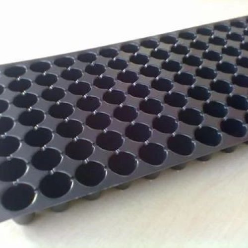 54 Cavity Seedling Tray