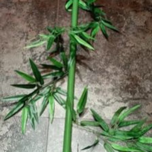 Artificial Bamboo Shoots