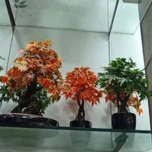 Artificial Flower Bunch And Bonsai Plant