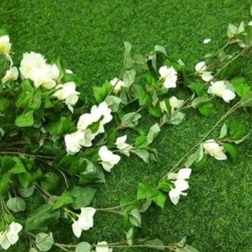 Artificial Leaves