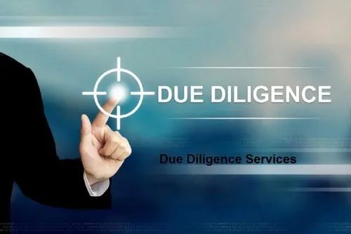 Due Diligence Audit Services