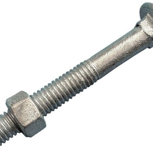 Carriage  Bolts and Nuts