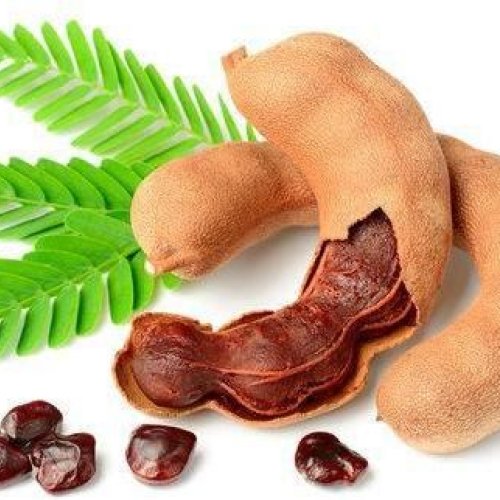 Fresh Tamarind