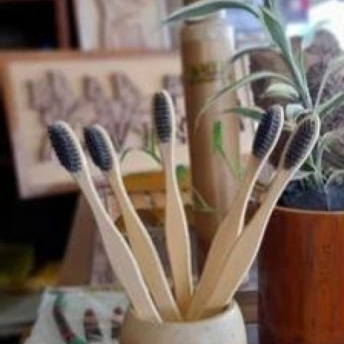 Bamboo Toothbrush