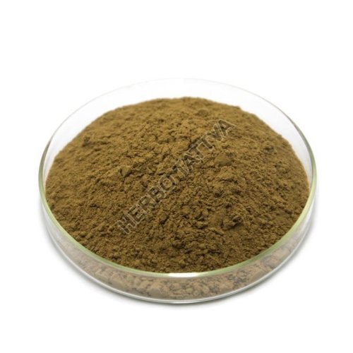 Bacopa Extract