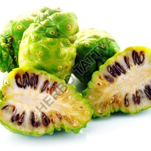 Noni Extract