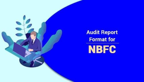 Non Banking Financial Companies Audit Services