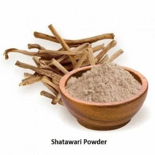 Shatavari Extract Powder