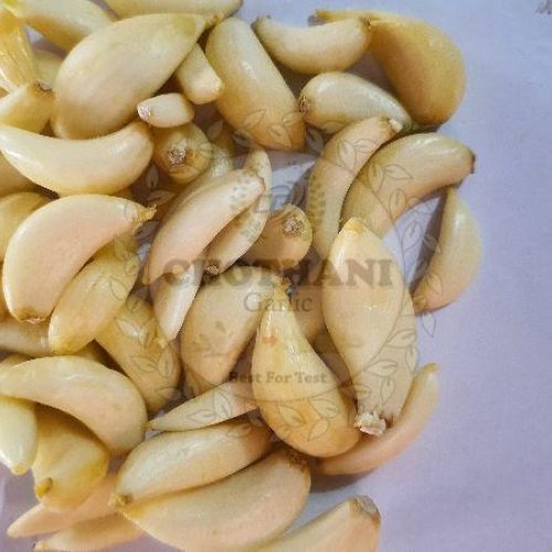 peeled garlic