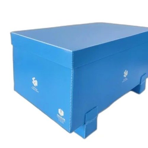 Rectangular Polypropylene Container
