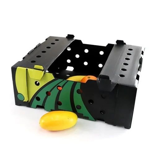 Reusable Polypropylene Box