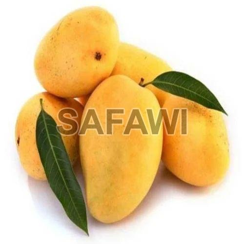 Fresh Mangoes