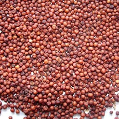 Finger Millet Seeds