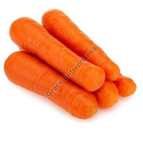 Fresh Carrot