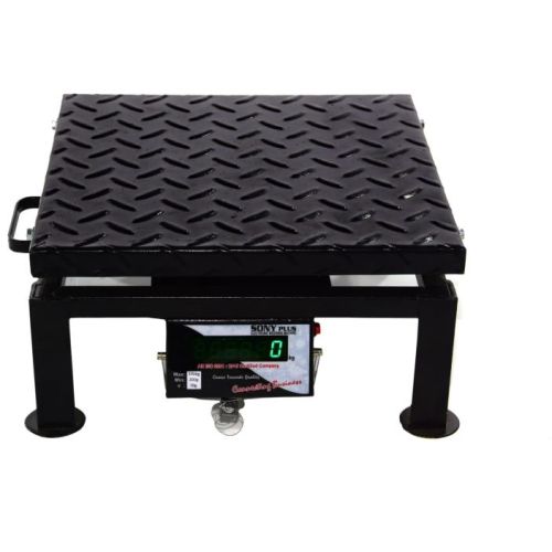 100 Kg Platform Weighing Scale