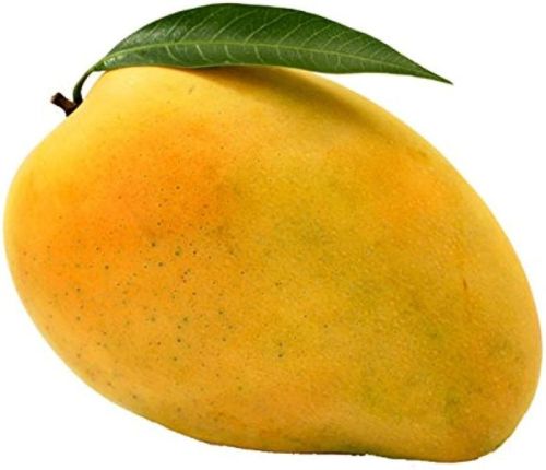 Fresh Mango