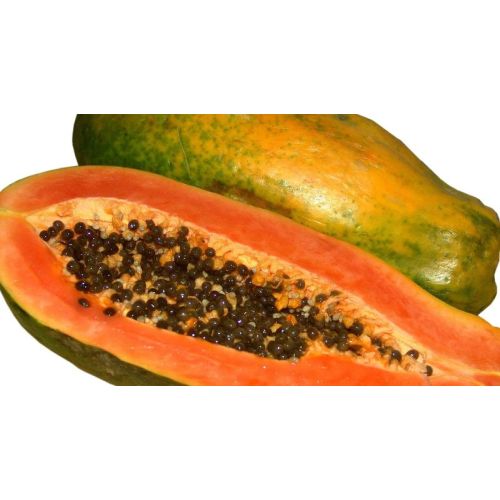 Fresh Papaya