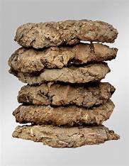 Cow Dung Cake
