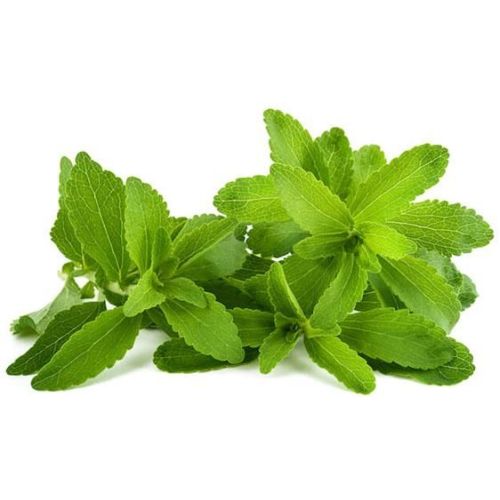 Stevia