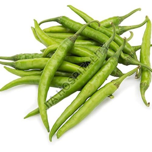 Fresh Green Chilli