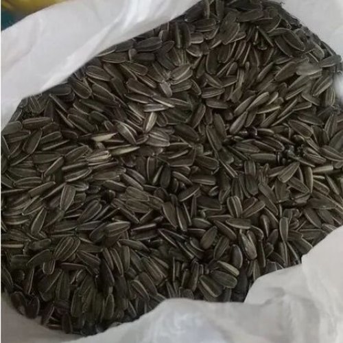 Black Sunflower Seeds