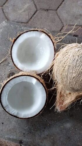 Fresh Coconut