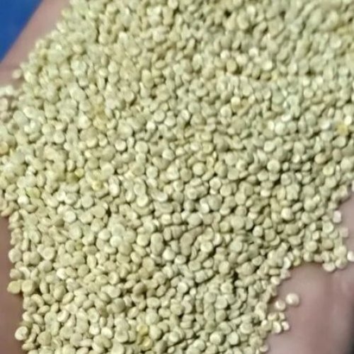 Quinoa Seeds