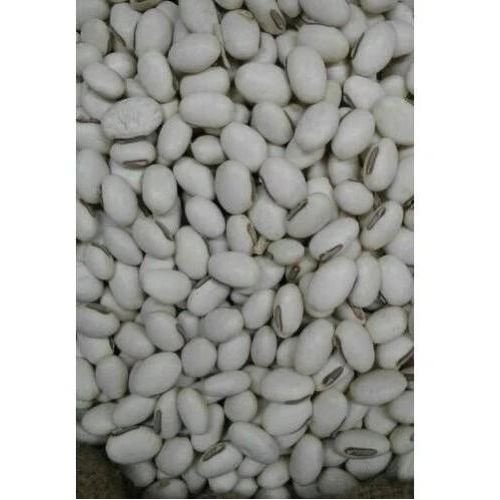 White Konch Seeds