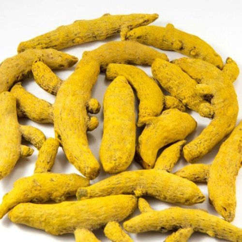 Raw Turmeric Finger